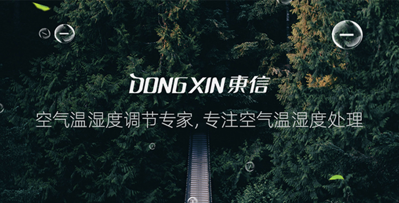 1589352983192155.jpg 東信CFZ-10H.jpg